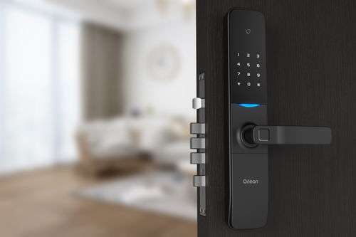 新房裝修要不要安裝指紋鎖 會(huì)不會(huì)有隱患 客觀地提些建議給大家